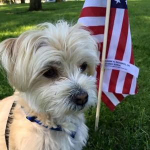 Meet your Posher, Carolann